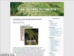 Sites similar to moringablog.wordpress.com