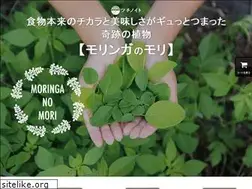 Sites similar to moringanomori.com