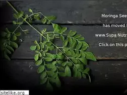 Sites similar to moringaseeds.co.za