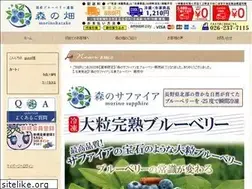 Sites similar to morinohatake.com