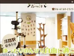 Sites similar to morinonekoya.com