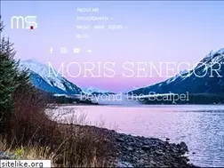 Sites similar to morissenegor.com