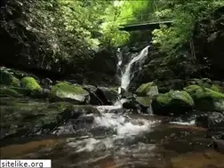 Sites similar to moriyama-d.jp