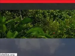 Sites similar to mornecoubarilestate.com
