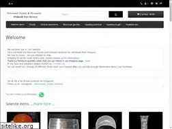 Sites similar to moroccanfossilsminerals.com