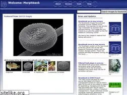 Sites similar to morphbank.net