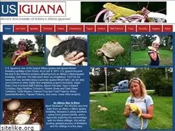 Sites similar to morphking.com
