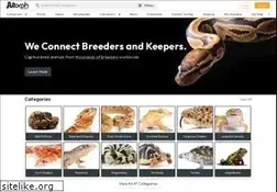 Sites similar to morphmarket.com