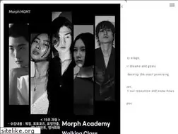 Sites similar to morphmgmt.com