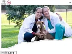 Sites similar to morrisanimalhospital.com
