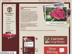 Sites similar to mortellaros.com
