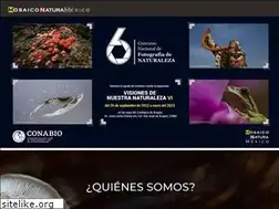 Sites similar to mosaiconatura.net