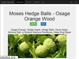 Sites similar to moseshedgeballs.com