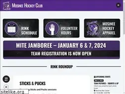 Sites similar to mosineehockey.com