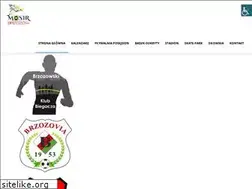 Sites similar to mosirbrzozow.pl