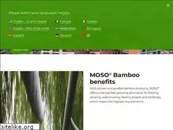 Sites similar to moso-bamboo.com