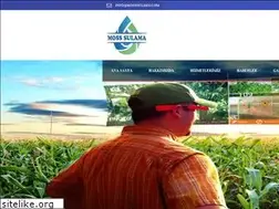 Sites similar to mosssulama.com
