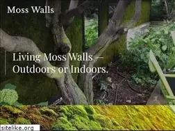 Sites similar to mosswalls.com