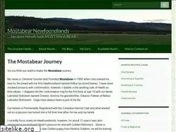 Sites similar to mostabear.com