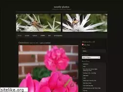 Sites similar to mostlyphotos.wordpress.com