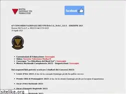 Sites similar to mostranazionalevini.com