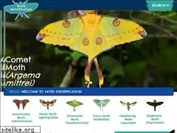 Sites similar to mothidentification.com