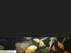 Sites similar to motionaquatics.uk