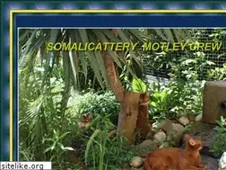 Sites similar to motleycrew.de