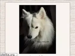 Sites similar to motomogallery.com