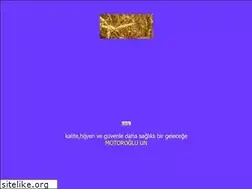 Sites similar to motorogluunsan.tr.gg