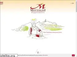 Sites similar to mottolini.eu