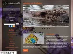 Sites similar to motylpodlaski.pl
