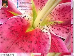 Sites similar to mouchette.org