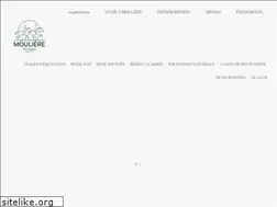Sites similar to mouliere.com