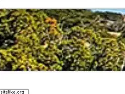 Sites similar to mountainairnewmexico.com