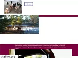 Sites similar to mountainhoneylabradors.com