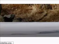 Sites similar to mountainroutes.com