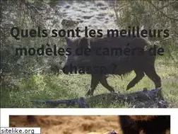 Sites similar to mountaintrip.eu