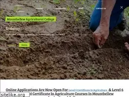 Sites similar to mountbellewagri.com