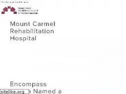 Sites similar to mountcarmelrehab.com