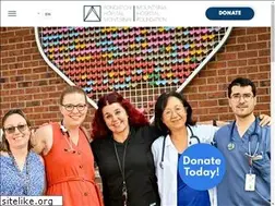 Sites similar to mountsinaifoundation.org