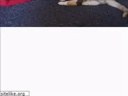 Sites similar to movieboo.org