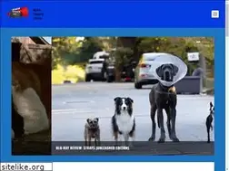Sites similar to moviegazetteonline.net