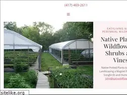 Sites similar to mowildflowers.com