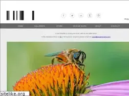 Sites similar to moyanophotography.com