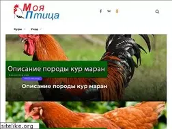 Sites similar to moyaptitsa.com
