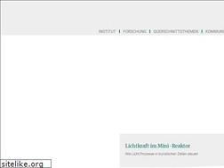 Sites similar to mpip-mainz.mpg.de