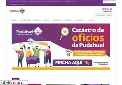 Sites similar to mpudahuel.cl