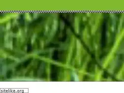 Sites similar to mr-scooter.de