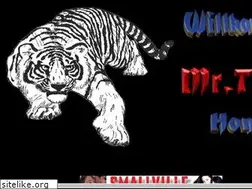 Sites similar to mr-taiger.de